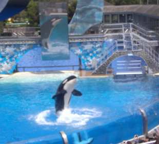 Sea World
