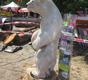 Kreativ Kettensägen am Rhein