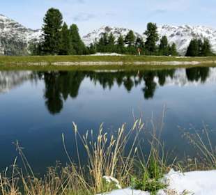 Der Latschensee