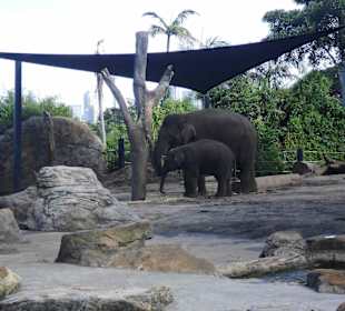 Taronga Zoo