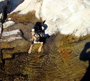 Wanderung an der Massane