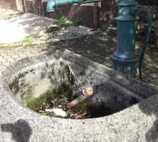 Dorfbrunnen am Backhaus Lonsingen