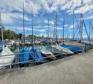 Hafen Friedriechshafen