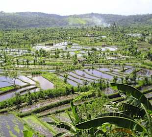 Bali Foto-Safari / Bali Super Reisen