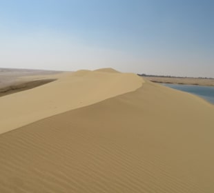Wüste