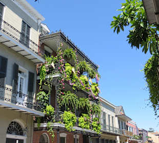 Typische Gebäude im French Quarter