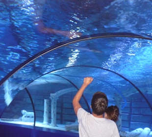 Röhren Aquarium Antalya 