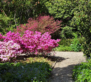 Eindrücke vom Rundgang durch den Berggarten