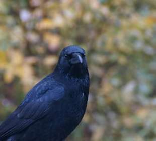 Parkanlage Planten un Blomen