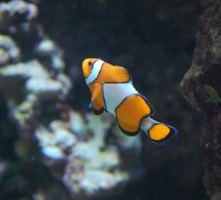 Zoo Warszawa