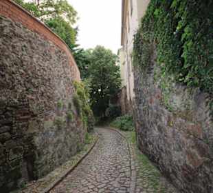 Hohlweg zum Burgberg 