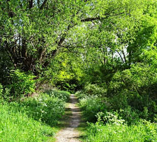 Eindrücke aus dem Stadtwald Oldenburg