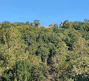 Wandern Bad Dürkheim