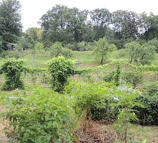 Pfaueninsel-Impression