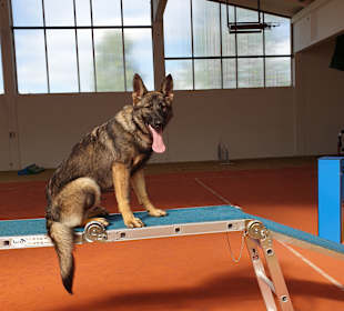 Wandern Mitterfirmiansreut