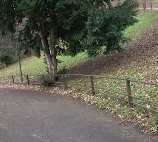 Park Wiederholdstaffel