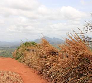 Ausblick vom Löwenfelsen "Sigiriya"