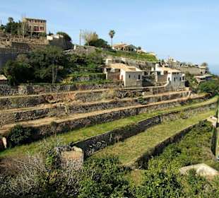 Terrassen von Banyalbufar