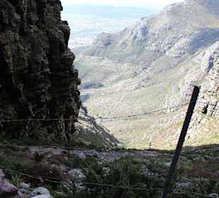 Stachedraht zu festhalten?