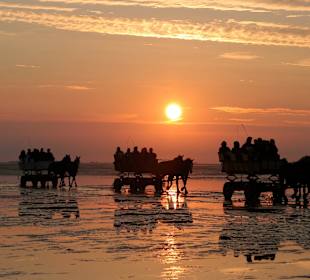 Zurück von der Insel Neuwerk im Wattwagen