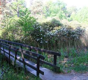Eingang zur Rhododendronschlucht