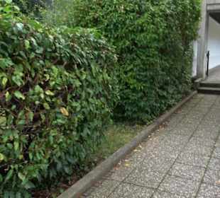 Evang.-Luth. Dietrich-Bonhoeffer-Kirche