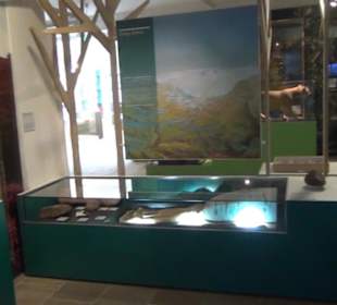 Niedersächsisches Landesmuseum