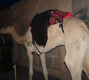 Stadtrundfahrt Dubai