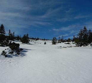 Schneekope/Śnieżka