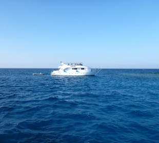 Tagesausflugsboot von SimSim