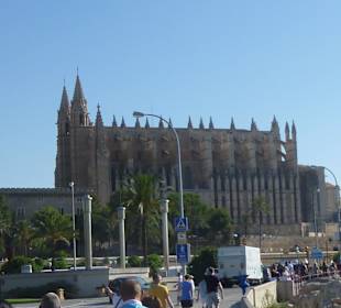 Palma