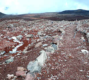 Wandern am Chimborazo