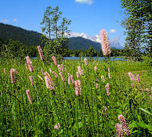 Wandern Krün