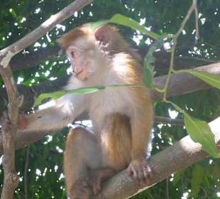 Im Botanischen Garten