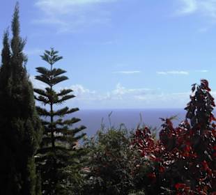 Jardim de São Martinho