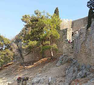 Burg in Lindos