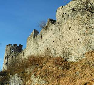 Hohenfreyberg Ruine