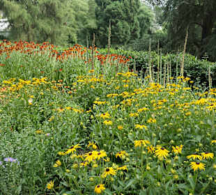 Spaziergang durch den Aachener Stadtgarten