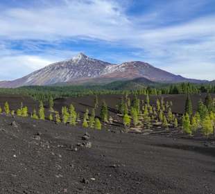 Unsere Vulkan Garachico -Tour