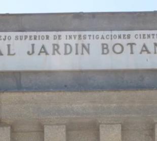 Real Jardín Botánico de Madrid