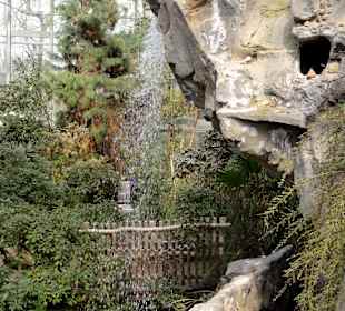Der Wasserfall in der Botanika
