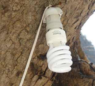 "Landestypische" Wegbeleuchtung