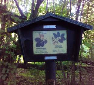 Natur und Vogellehrpfad Längwieser Wald Dittweiler