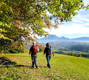 Wandern Altmünster