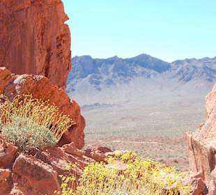 Valley of Fire