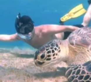 Schnorcheln Makadi Bay