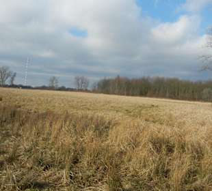 Naturschutzgebiet Boberger Niederung