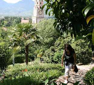 Blick vom Tappeinerweg nach Meran