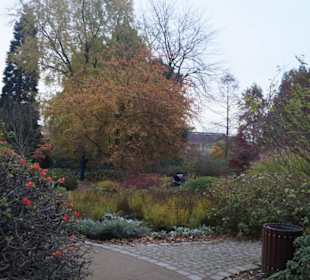 Parkanlage Planten un Blomen