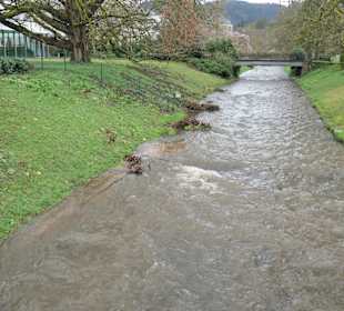 Wandern in Baden-Baden und Umgebung